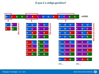 Biologia e Geologia - 11.o ano Biossíntese de proteínas 49
O que é o código genético?
A
U C
G
A
U C
G G A C U U U
A C G G
U
A
U
C
G
U
U
U
A
U
C
G
C
C
C
C
A
U
C
G
A
A
A
A
A
U
C
G
G
G
G
G
U
A
U
C
G
U
U
U
U
U
U
U
C
A
U
C
G
C
C
C
U
U
U
U
G
A
U
etc...
U
A
U
C
G
U
U
U
C
C
C
C
C
A
U
C
G
C
C
C
C
C
C
C
G
A
C
etc...
mRNA
Não
suficiente
Não
suficiente
Mais
do
que
suficiente
 
