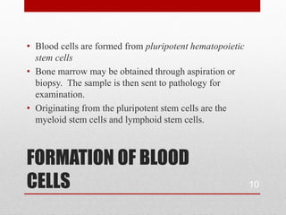 • Blood cells are formed from pluripotent hematopoietic
  stem cells
• Bone marrow may be obtained through aspiration or
  biopsy. The sample is then sent to pathology for
  examination.
• Originating from the pluripotent stem cells are the
  myeloid stem cells and lymphoid stem cells.



FORMATION OF BLOOD
CELLS                                                     10
 