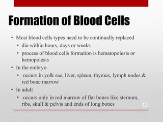 Formation of Blood Cells
• Most blood cells types need to be continually replaced
  • die within hours, days or weeks
  • process of blood cells formation is hematopoiesis or
     hemopoiesis
• In the embryo
  • occurs in yolk sac, liver, spleen, thymus, lymph nodes &
     red bone marrow
• In adult
  • occurs only in red marrow of flat bones like sternum,
     ribs, skull & pelvis and ends of long bones           12
 