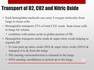 Transport of O2, CO2 and Nitric Oxide
• Each hemoglobin molecule can carry 4 oxygen molecules from
  lungs to tissue cells
• Hemoglobin transports 23% of total CO2 waste from tissue cells
  to lungs for release
   • combines with amino acids in globin portion of Hb
• Hemoglobin transports nitric oxide & super nitric oxide helping to
  regulate BP
   • Fe ions pick up nitric oxide (NO) & super nitric oxide (SNO) &
     transport it to & from the lungs
   • NO causing vasoconstriction is released in the lungs
   • SNO causing vasodilation is picked up in the lungs        20
 