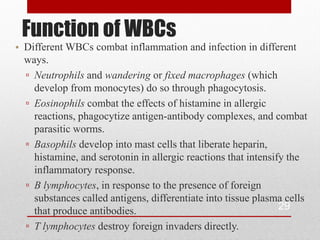 Function of WBCs
• Different WBCs combat inflammation and infection in different
  ways.
  ▫ Neutrophils and wandering or fixed macrophages (which
    develop from monocytes) do so through phagocytosis.
  ▫ Eosinophils combat the effects of histamine in allergic
    reactions, phagocytize antigen-antibody complexes, and combat
    parasitic worms.
  ▫ Basophils develop into mast cells that liberate heparin,
    histamine, and serotonin in allergic reactions that intensify the
    inflammatory response.
  ▫ B lymphocytes, in response to the presence of foreign
    substances called antigens, differentiate into tissue plasma cells
    that produce antibodies.                                    29
  ▫ T lymphocytes destroy foreign invaders directly.
 