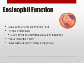 Eosinophil Function

• Leave capillaries to enter tissue fluid
• Release histaminase
  • slows down inflammation caused by basophils
• Attack parasitic worms
• Phagocytize antibody-antigen complexes




                                                  41
 