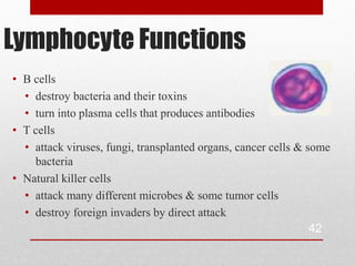 Lymphocyte Functions
• B cells
  • destroy bacteria and their toxins
  • turn into plasma cells that produces antibodies
• T cells
  • attack viruses, fungi, transplanted organs, cancer cells & some
    bacteria
• Natural killer cells
  • attack many different microbes & some tumor cells
  • destroy foreign invaders by direct attack
                                                                42
 