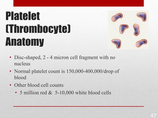 Platelet
(Thrombocyte)
Anatomy
• Disc-shaped, 2 - 4 micron cell fragment with no
  nucleus
• Normal platelet count is 150,000-400,000/drop of
  blood
• Other blood cell counts
  • 5 million red & 5-10,000 white blood cells



                                                     47
 