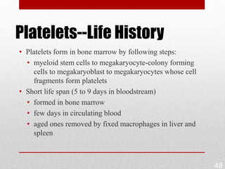 Platelets--Life History
• Platelets form in bone marrow by following steps:
  • myeloid stem cells to megakaryocyte-colony forming
    cells to megakaryoblast to megakaryocytes whose cell
    fragments form platelets
• Short life span (5 to 9 days in bloodstream)
  • formed in bone marrow
  • few days in circulating blood
  • aged ones removed by fixed macrophages in liver and
    spleen



                                                           48
 