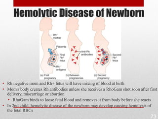 Hemolytic Disease of Newborn




• Rh negative mom and Rh+ fetus will have mixing of blood at birth
• Mom's body creates Rh antibodies unless she receives a RhoGam shot soon after first
  delivery, miscarriage or abortion
   • RhoGam binds to loose fetal blood and removes it from body before she reacts
• In 2nd child, hemolytic disease of the newborn may develop causing hemolysis of
  the fetal RBCs
                                                                                 73
 