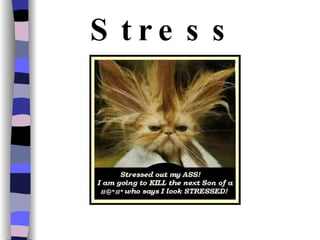 Stress #@*#* 