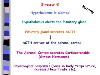 2. Body Response To Stress | PPT