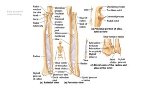 Extra picture for
understanding
 