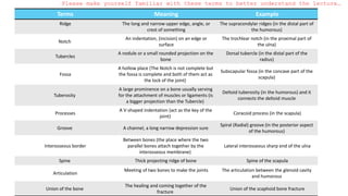Please make yourself familiar with these terms to better understand the lecture…
Terms Meaning Example
Ridge The long and narrow upper edge, angle, or
crest of something
The supracondylar ridges (in the distal part of
the humorous)
Notch
An indentation, (incision) on an edge or
surface
The trochlear notch (in the proximal part of
the ulna)
Tubercles
A nodule or a small rounded projection on the
bone
Dorsal tubercle (in the distal part of the
radius)
Fossa
A hollow place (The Notch is not complete but
the fossa is complete and both of them act as
the lock of the joint)
Subscapular fossa (in the concave part of the
scapula)
Tuberosity
A large prominence on a bone usually serving
for the attachment of muscles or ligaments (is
a bigger projection than the Tubercle)
Deltoid tuberosity (in the humorous) and it
connects the deltoid muscle
Processes
A V-shaped indentation (act as the key of the
joint)
Coracoid process (in the scapula)
Groove A channel, a long narrow depression sure
Spiral (Radial) groove (in the posterior aspect
of the humorous)
Interosseous border
Between bones (the place where the two
parallel bones attach together by the
interosseous membrane)
Lateral interosseous sharp end of the ulna
Spine Thick projecting ridge of bone Spine of the scapula
Articulation
Meeting of two bones to make the joints The articulation between the glenoid cavity
and humorous
Union of the bone
The healing and coming together of the
fracture
Union of the scaphoid bone fracture
 