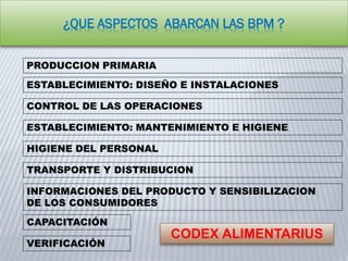 ¿QUE ASPECTOS ABARCAN LAS BPM ?
PRODUCCION PRIMARIA
ESTABLECIMIENTO: DISEÑO E INSTALACIONES
CONTROL DE LAS OPERACIONES
CAPACITACIÓN
ESTABLECIMIENTO: MANTENIMIENTO E HIGIENE
HIGIENE DEL PERSONAL
TRANSPORTE Y DISTRIBUCION
INFORMACIONES DEL PRODUCTO Y SENSIBILIZACION
DE LOS CONSUMIDORES
VERIFICACIÓN
CODEX ALIMENTARIUS
 