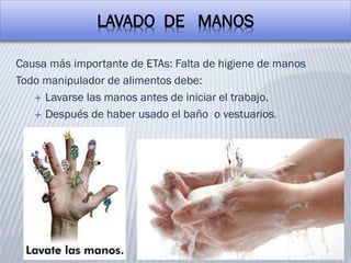 LAVADO DE MANOS
Causa más importante de ETAs: Falta de higiene de manos
Todo manipulador de alimentos debe:
 Lavarse las manos antes de iniciar el trabajo.
 Después de haber usado el baño o vestuarios.
 