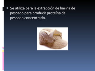 Se utiliza para la extracción de harina de pescado para producir proteína de pescado concentrado. 