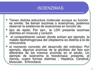 ISOENZIMAS

   Tienen distinta estructura molecular aunque su función
    es similar. Se llaman isozimas o isoenzimas, podemos
    observar la existencia de isoenzimas en función de:
   tipo de tejido: Por ejm., la LDH presenta isozimas
    distintos en músculo y corazón
     el compartimento celular donde actúan por ejemplo, la
    malato deshidrogenasa del citoplasma es distinta a la de
    mitocondria
   el momento concreto del desarrollo del individuo: Por
    ejemplo, algunos enzimas de la glicólisis del feto son
    diferentes de los mismos enzimas en el adulto. Un
    ejemplo de isoenzima la hexokinasa: presenta, al
    menos, cuatro formas distintas : Hepática, Cerebral,
    Muscular, Eritrocitaria

                                                               17
 