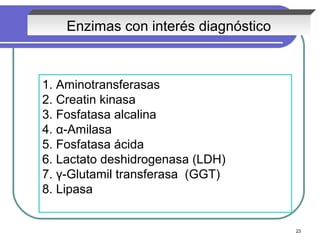 Enzimas con interés diagnóstico



1. Aminotransferasas
2. Creatin kinasa
3. Fosfatasa alcalina
4. α-Amilasa
5. Fosfatasa ácida
6. Lactato deshidrogenasa (LDH)
7. γ-Glutamil transferasa (GGT)
8. Lipasa


                                      23
 
