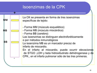 Isoenzimas de la CPK
     +
         La CK se presenta en forma de tres isoenzimas
MM       específicas de tejido:

         - Forma MM (músculo esquelético)
MB       - Forma MB (músculo miocárdico)
         - Forma BB (cerebro)
         Las isoenzimas se distinguen electroforéticamente
         o por métodos inmunológicos
BB
         La isoenzima MB es un marcador precoz de
         infarto de miocardio.
         En el infarto al miocardio, puede ocurrir elevaciones
          de STGO ,LDH y beta hidroxibutirato dehidrogenasa y de
         CPK., en el infarto pulmonar sólo de las tres primeras.
     -



                                                             28
 