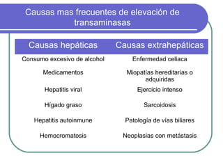 Causas mas frecuentes de elevación de
           transaminasas

  Causas hepáticas            Causas extrahepáticas
Consumo excesivo de alcohol       Enfermedad celiaca

      Medicamentos              Miopatías hereditarias o
                                      adquiridas
       Hepatitis viral              Ejercicio intenso

       Hígado graso                   Sarcoidosis

   Hepatitis autoinmune         Patología de vías biliares

     Hemocromatosis            Neoplasias con metástasis
 