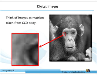 Digital images
Digital images
Think of images as matrices
taken from CCD array.
 