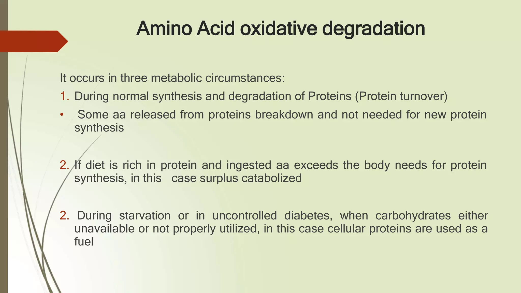 Amino Acid Oxidation | PPTX
