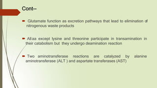 Cont--
🠶 Glutamate function as excretion pathways that lead to elimination of
nitrogenous waste products
🠶 Allaa except lysine and threonine participate in transamination in
their catabolism but they undergo deamination reaction
🠶 Two aminotransferase reactions are catalyzed by alanine
aminotransferase (ALT ) and aspartate transferases (AST)
 