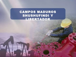 CAMPOS MADUROS SHUSHUFINDI Y LIBERTADOR 