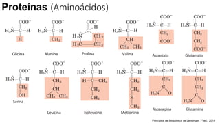 Proteínas (Aminoácidos)
Princípios de bioquímica de Lehninger. 7ª ed.; 2019
 