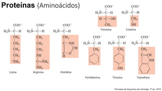 Proteínas (Aminoácidos)
Princípios de bioquímica de Lehninger. 7ª ed.; 2019
 