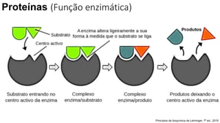 Proteínas (Função enzimática)
Princípios de bioquímica de Lehninger. 7ª ed.; 2019
 