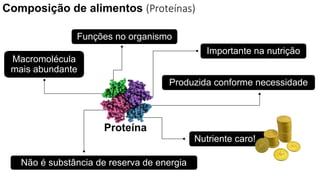Composição de alimentos (Proteínas)
Funções no organismo
Produzida conforme necessidade
Macromolécula
mais abundante
Importante na nutrição
Não é substância de reserva de energia
Nutriente caro!
Proteína
 
