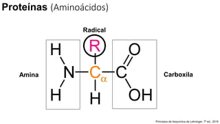 Radical
Carboxila
Amina
Proteínas (Aminoácidos)
Princípios de bioquímica de Lehninger. 7ª ed.; 2019
 