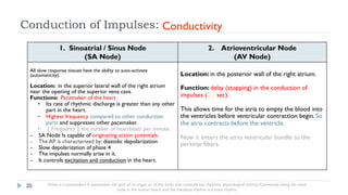 Cardiac Electrical Activity from CV block lecture | PPT