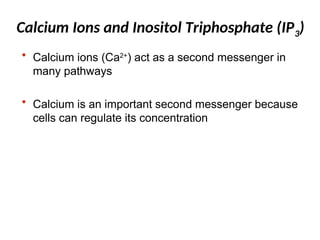 Calcium Ions and Inositol Triphosphate (IP3)
• Calcium ions (Ca2+
) act as a second messenger in
many pathways
• Calcium is an important second messenger because
cells can regulate its concentration
 