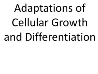 Adaptations of
Cellular Growth
and Differentiation
 