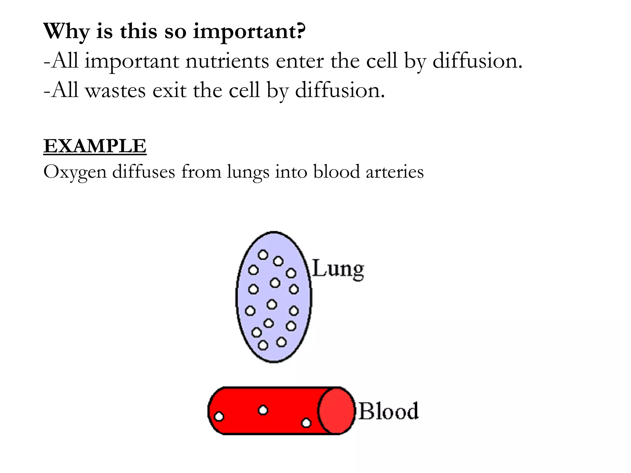 Why is this so important? -All important nutrients enter the cell by diffusion. -All wastes exit the cell by diffusion. EXAMPLE Oxygen diffuses from lungs into blood arteries 