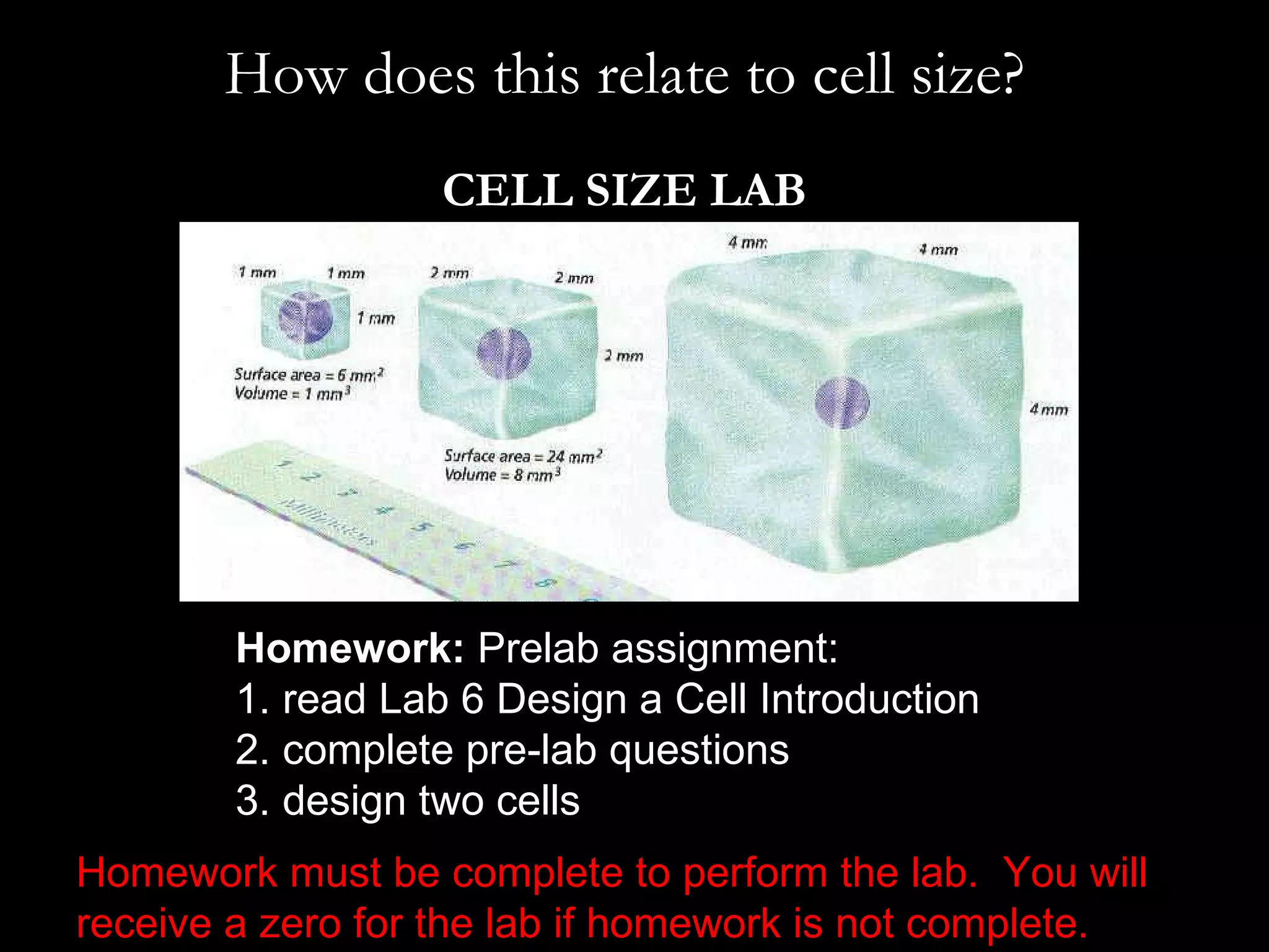 How does this relate to cell size? CELL SIZE LAB Homework must be complete to perform the lab.  You will receive a zero for the lab if homework is not complete. Homework:  Prelab assignment: 1. read Lab 6 Design a Cell Introduction 2. complete pre-lab questions 3. design two cells 