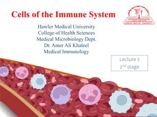 Cells of the Immune System
Hawler Medical University
College of Health Sciences
Medical Microbiology Dept.
Dr. Amer Ali Khaleel
Medical Immunology
Lecture 2
2nd stage
1
 