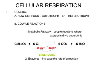 CELLULAR RESPIRATION
I.   GENERAL
     A. HOW GET FOOD – AUTOTROPH         or   HETEROTROPH

     B. COUPLE REACTIONS

           1. Metabolic Pathway – couple reactions where
                              exergonic drive endergonic


     C6H12O6 + 6 O2                   6 CO2     +    6 H 2O
                    36 ADP    36ATP

                      ENDERGONIC
           2. Enzymes – increase the rate of a reaction
 