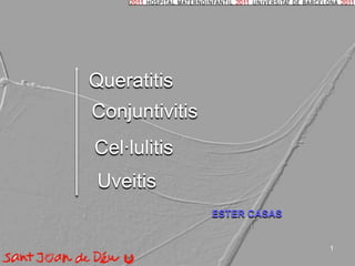 1 Queratitis Conjuntivitis Cel·lulitis Uveitis ESTER CASAS 