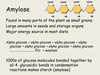 Amylos 2--Cellulose---Starch.ppt