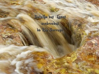 Detalhe das águas Detalhe das águas 
acobreadasacobreadas
do Rio Serranodo Rio Serrano
 