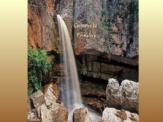 CachoeiradaCachoeirada
PrimaveraPrimavera
 