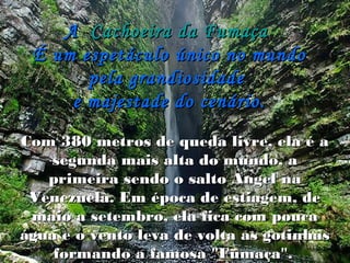 Com 380 metros de queda livre, ela é aCom 380 metros de queda livre, ela é a
segunda mais alta do mundo, asegunda mais alta do mundo, a
primeira sendo o salto Angel naprimeira sendo o salto Angel na
Venezuela. Em época de estiagem, deVenezuela. Em época de estiagem, de
maio a setembro, ela fica com poucamaio a setembro, ela fica com pouca
água e o vento leva de volta as gotinhaságua e o vento leva de volta as gotinhas
formando a famosa "Fumaça".formando a famosa "Fumaça".
AA Cachoeira da FumaçaCachoeira da Fumaça
É um espetáculo único no mundoÉ um espetáculo único no mundo
pela grandiosidadepela grandiosidade
e majestade do cenário.e majestade do cenário.
 