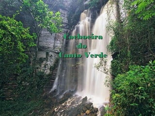 CachoeiraCachoeira
dodo
Canto VerdeCanto Verde
 