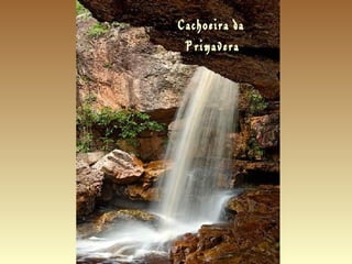 Cachoeira daCachoeira da
PrimaveraPrimavera
 