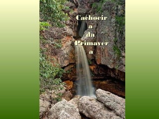 CachoeirCachoeir
aa
dada
PrimaverPrimaver
aa
 