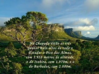 Na Chapada estão os três
pontos mais altos de todo o
Estado: o Pico das Almas,
com 1.958 metros de altitude,
o do Itobira, com 1.970m, e o
do Barbados, com 2.080m.
 