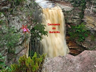 CachoeiraCachoeira
dodo
BuracãoBuracão
 
