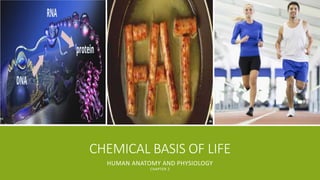 CHEMICAL BASIS OF LIFE
HUMAN ANATOMY AND PHYSIOLOGY
CHAPTER 2
 