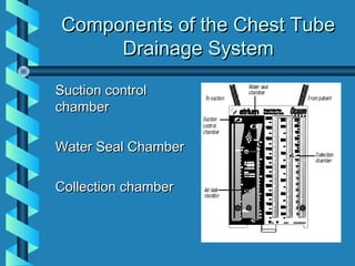 Components of the Chest Tube
     Drainage System

Suction control
chamber

Water Seal Chamber

Collection chamber
 