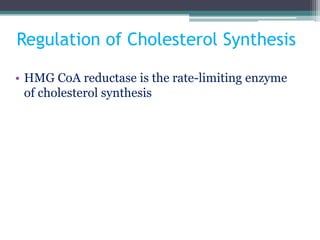 Regulation of Cholesterol Synthesis
• HMG CoA reductase is the rate-limiting enzyme
of cholesterol synthesis
 